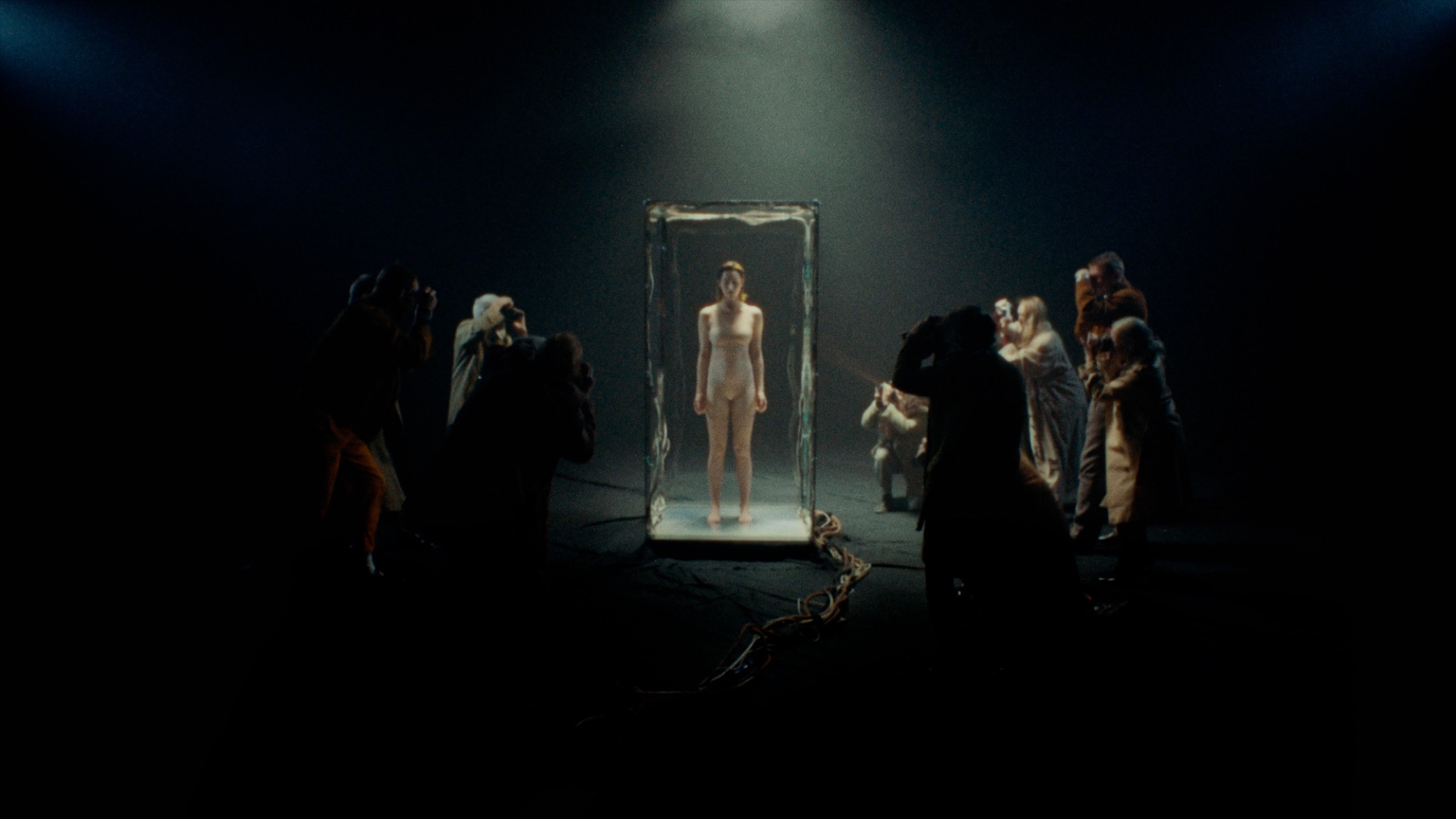 Selected frames, still 2 from Jungle